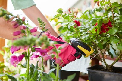 Webinar: van EAN-barcode naar QR code