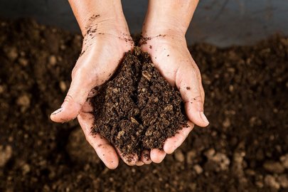 Online bijeenkomst Convenant milieu-impact Potgrond en Substraten