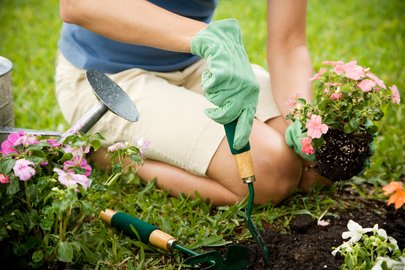 Week van de Groene Tuin 2023