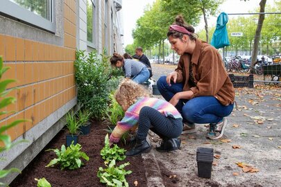 Week van de Groene Tuin 2024