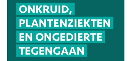 Onkruid, plantenziekten en ongedierte tegengaan – 10 verstandige en snelle tips
