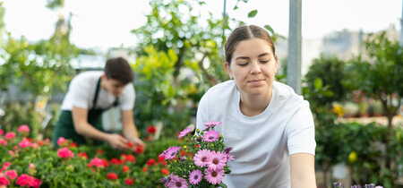 Houd planten betaalbaar: Tuinbranche Nederland lobbyt samen met ketenpartners tegen verhoging btw-tarief op bloemen en planten