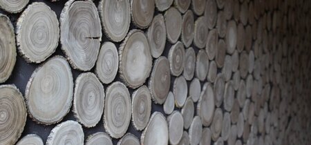 Duurzaam adviseren over hout en houtproducten
