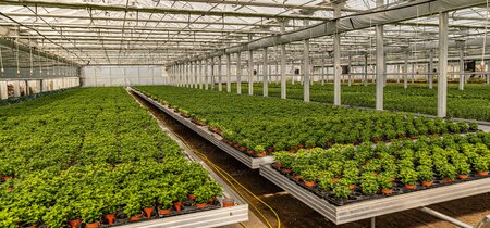 Extra initiatieven in tuinbranche om stijgende lijn in naleving eisen middelengebruik weer op te pakken