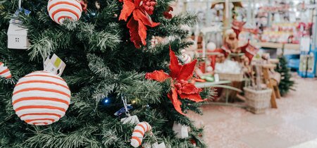 Verantwoorde kerstbomenteelt