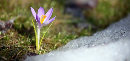 Perspectief op leven in de eigen tuin