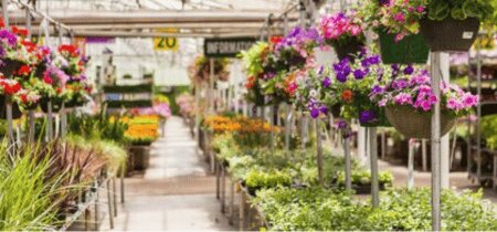 Reactie Tuinbranche Nederland op onderzoek PAN-NL in Kassa