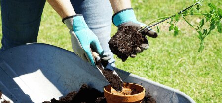 Q&A over potgrond, turf en duurzaamheid