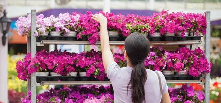 Tuinretailonderzoek in 8 Europese landen