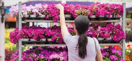 Van inzicht naar innovatie: Onderzoeksmonitor voor de tuinbranche