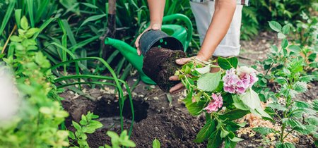 Duurzaam advies over bloemen en planten