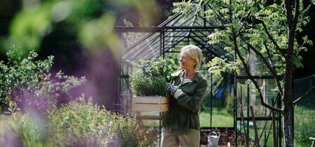 Btw-verhoging op sierteelt: een verkeerde prikkel voor vergroening