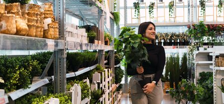 Van inzicht naar innovatie: wat de tweede fase ons leert