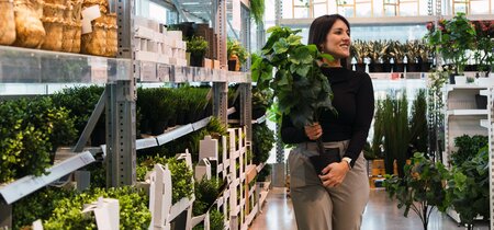 Van inzicht naar innovatie: de eerste inzichten