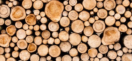 Duurzaam hout