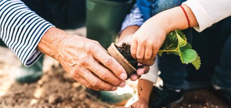 Ambitie 5.0 Gewasbescherming in de sierteelt