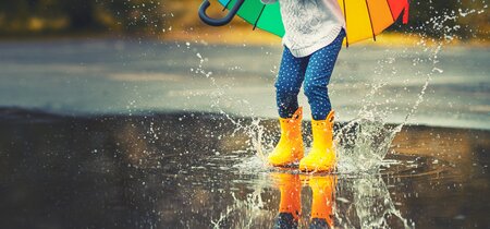 Handboek voor de Watervriendelijke tuin